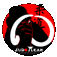 Logo JudoTeam Steinheim